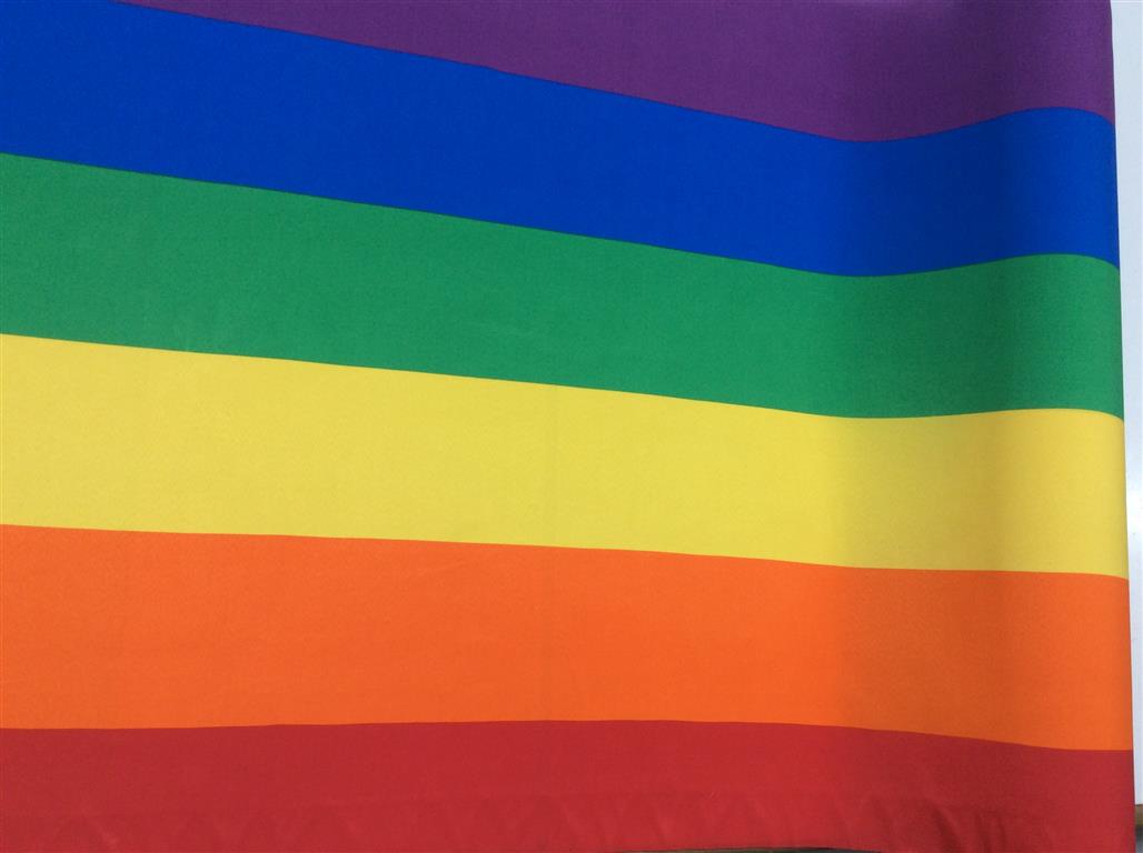 Bandera Arcoiris